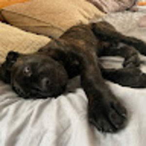 Meet your Posher, Eric